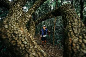 BIB: 
                            <button type="button" onclick="openModal(25394066)" class="btn btn-primary btn-sm float-right btn-popup" data-toggle="modal" data-target=".modal-high-quality">
                        <i class="fas fa-shopping-cart"></i> Add to Cart
                    </button>
                                            <button type="button" onclick="isThisMe(25394066, true)" class="btn btn-success btn-sm float-right btn-popup btn-isme hidden" data-toggle="tooltip" data-placement="bottom" title="นี่คือรูปของคุณใช่ไหม คลิกที่นี่เพื่อเอาเข้าอัลบั้ม">
                        <i class="fas fa-plus"></i> Add to album
                    </button>
                    <button type="button" onclick="isThisMe(25394066, false)" class="btn btn-warning btn-sm float-right btn-popup btn-isnotme hidden">
                        <i class="fas fa-ban"></i> Remove from album
                    </button>